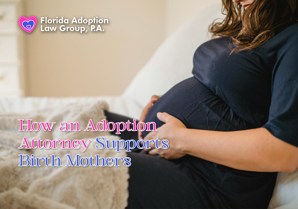 Adoption Attorney